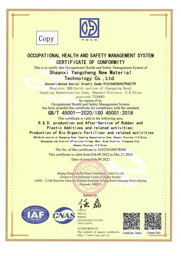 Occupation health and safety management sysytem certificate